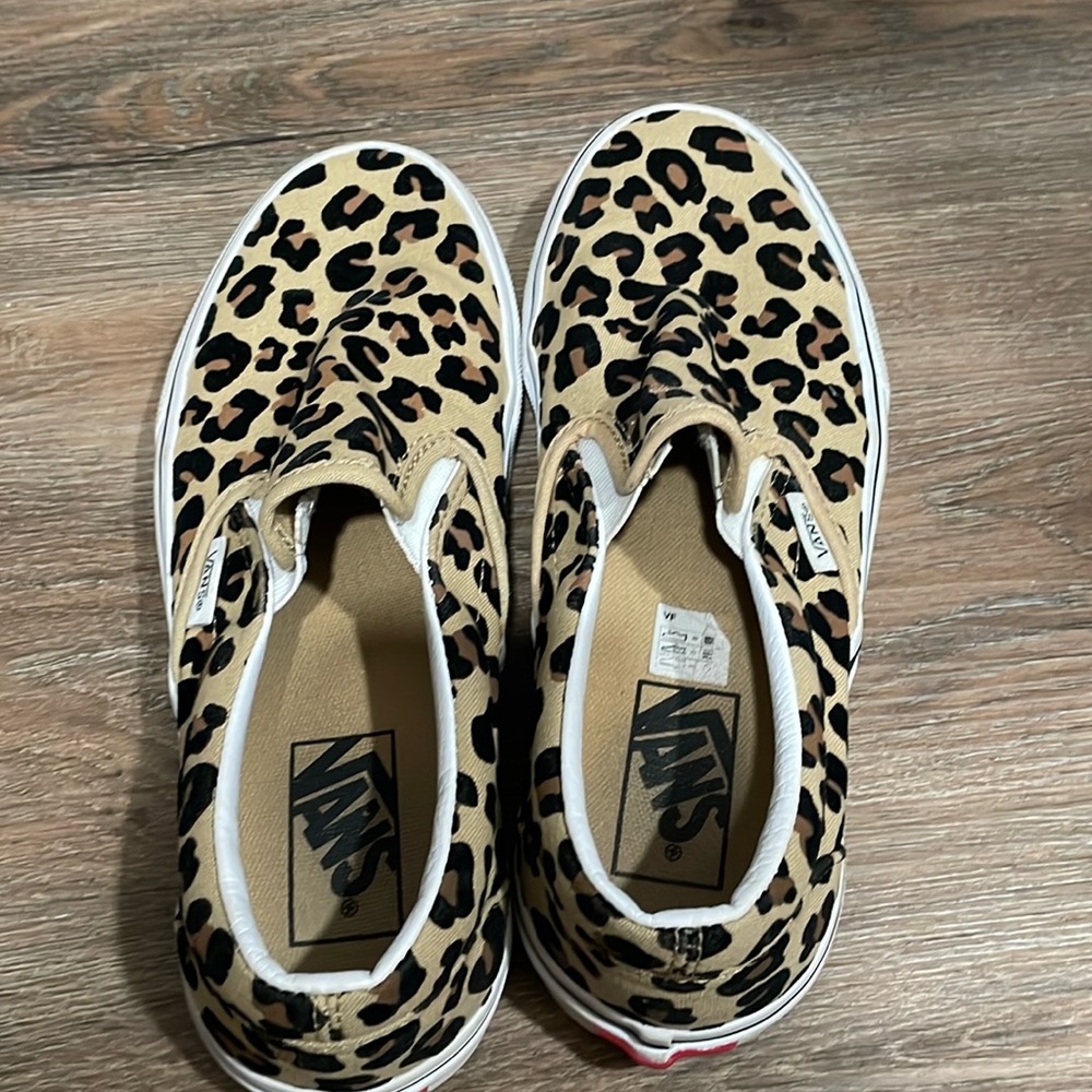 Cheetah vans